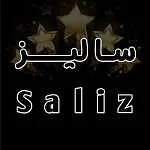 فست فود سالیز