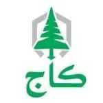 فست فود کاج