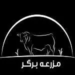 مزرعه برگر