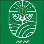 کافی شاپ تیم تیم
